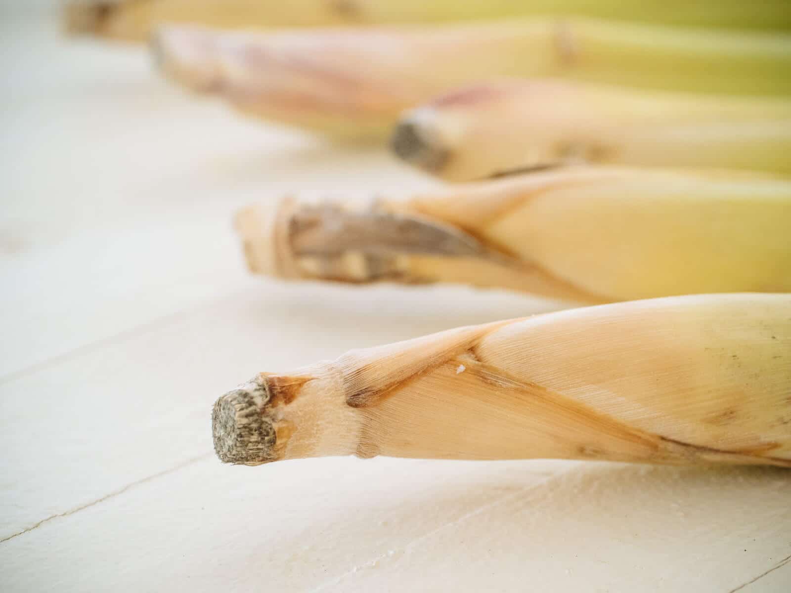 Fresh lemongrass with the base intact