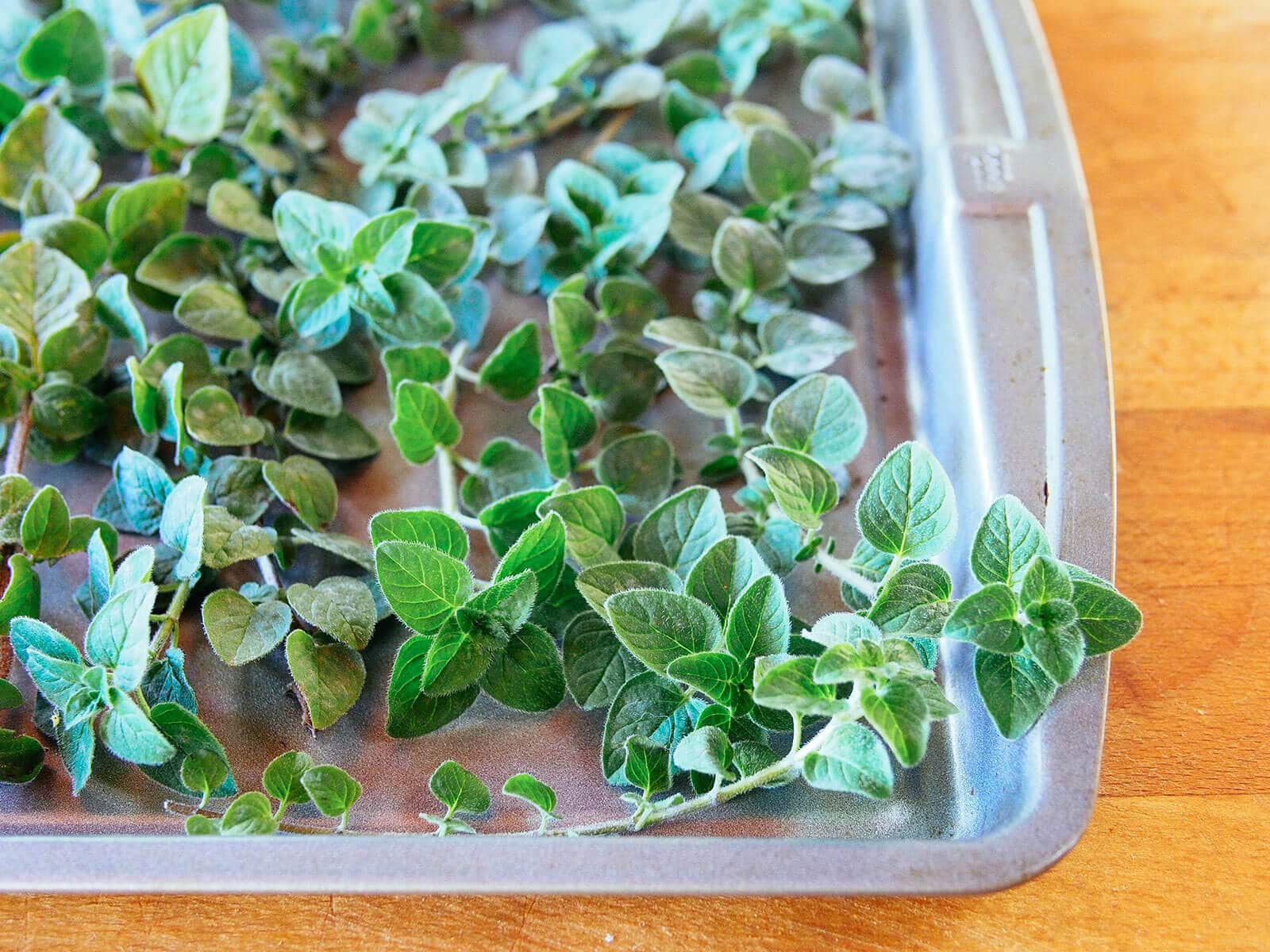Oregano sprigs on a baking sheet
