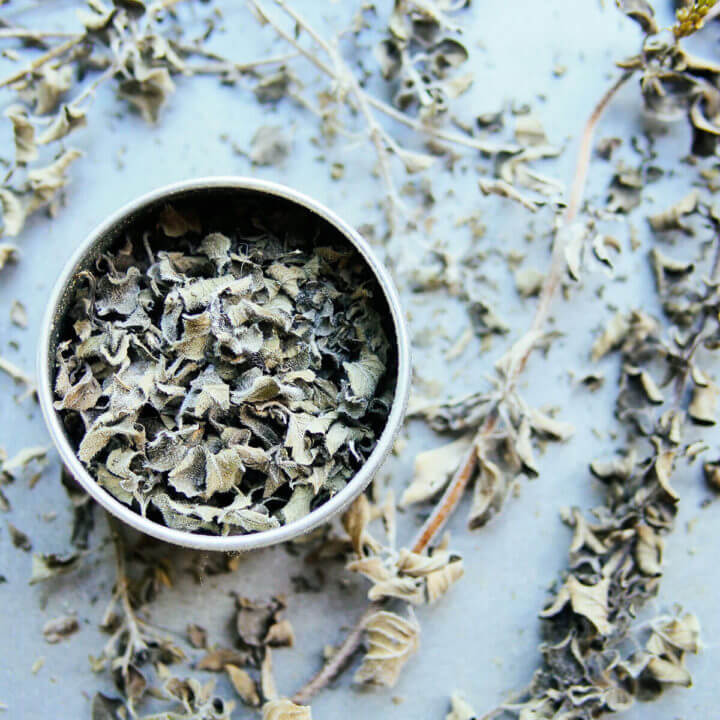 Oven-dried oregano from homegrown oregano
