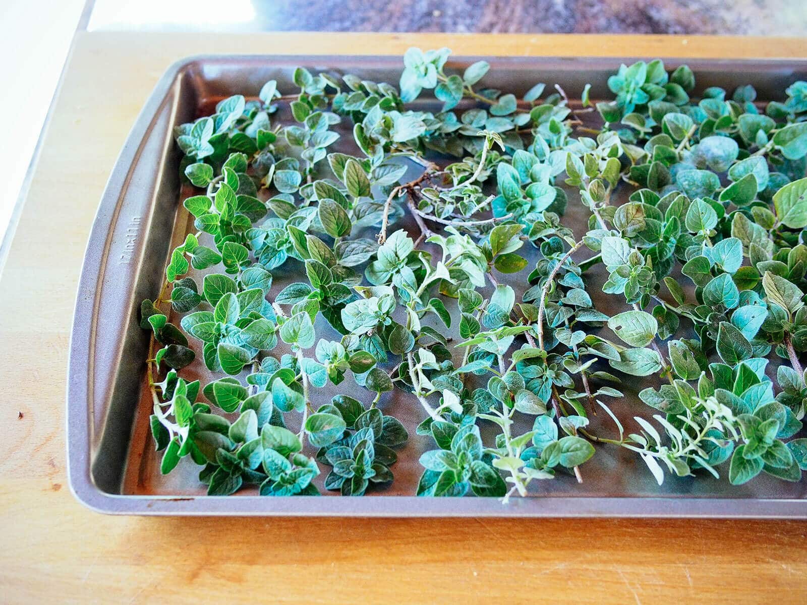 Oregano spread across a baking sheet