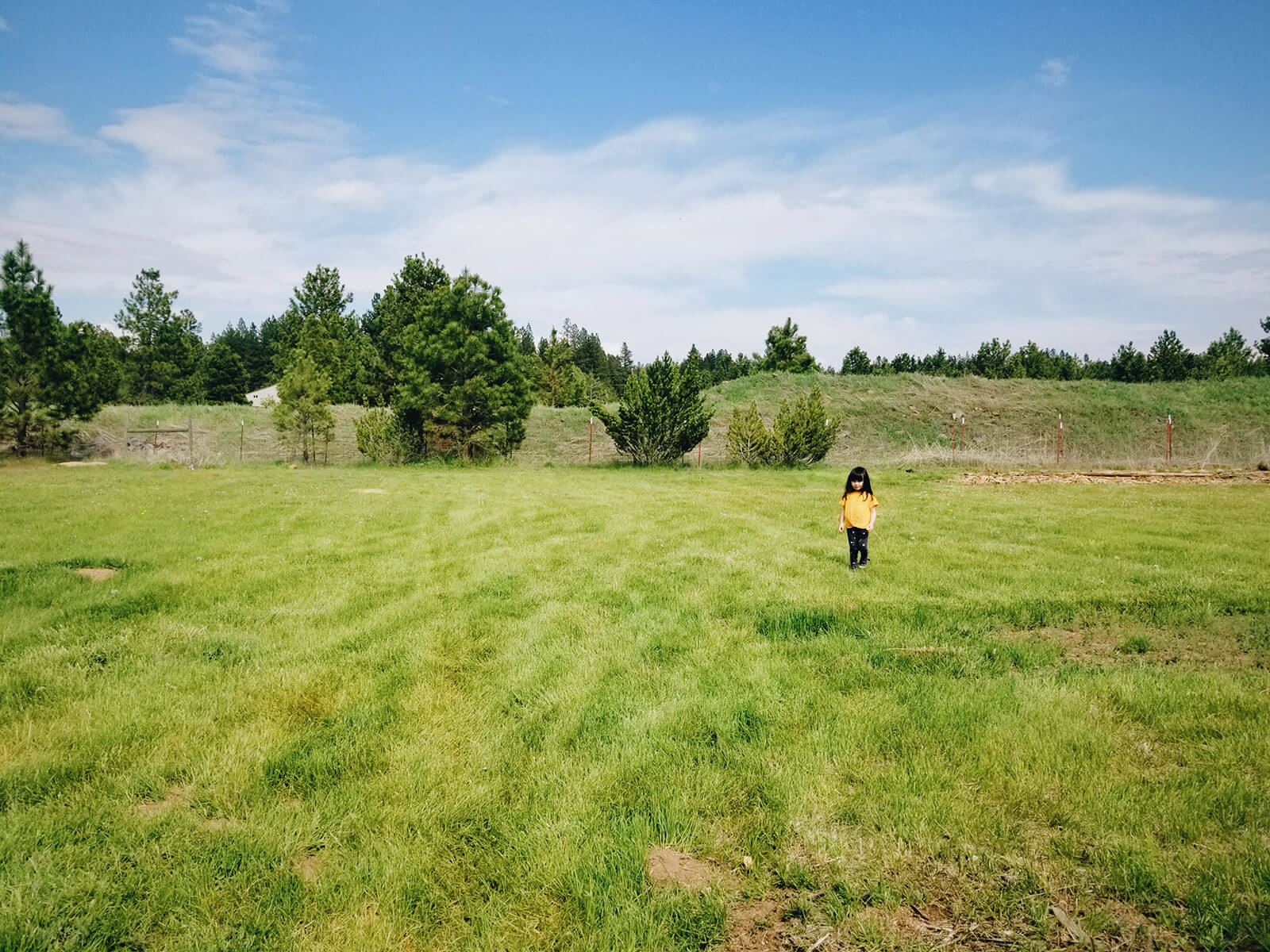 View of where the future vegetable garden wil be built on the property