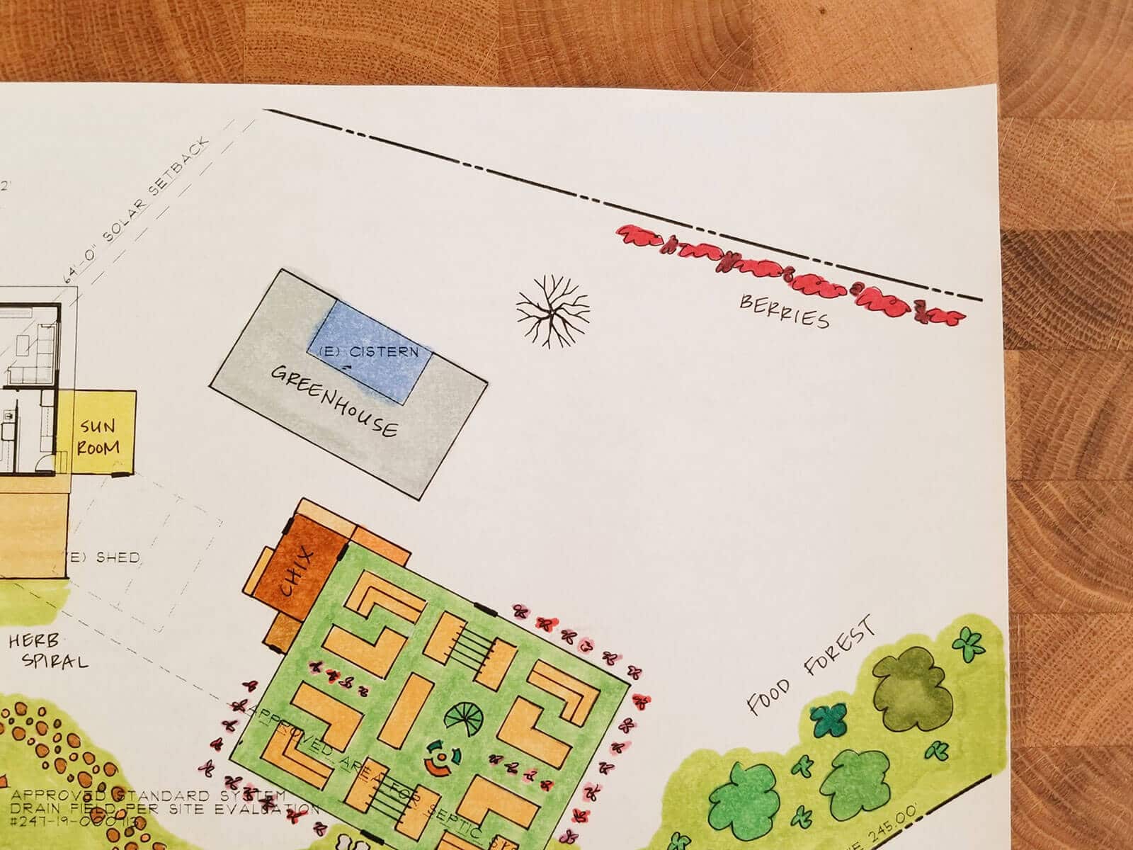 Close-up of color rendering showing locations of greenhouse, berries, and food forest