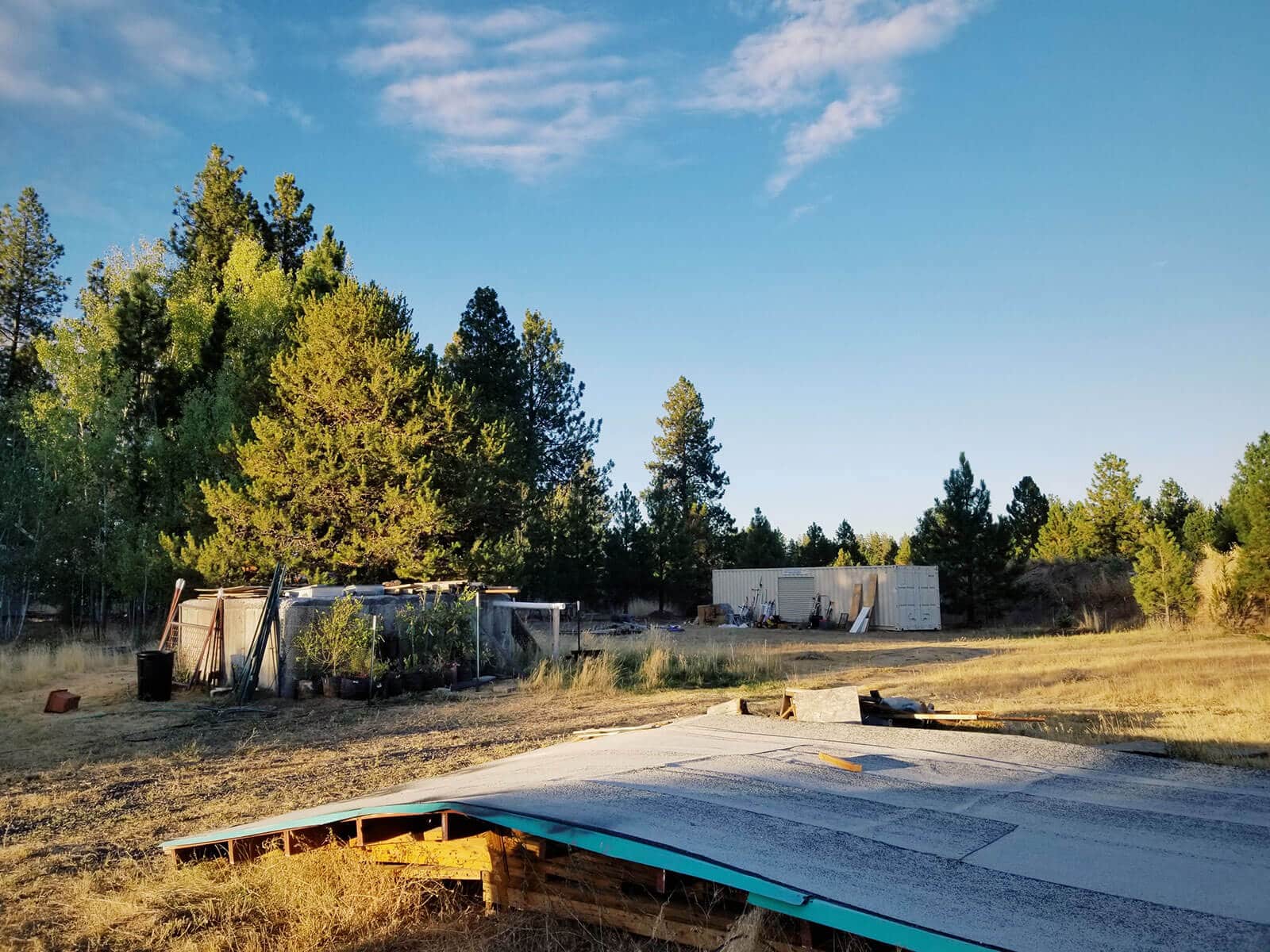 Current state of the backyard with shed roof in the foreground and storage container in the background