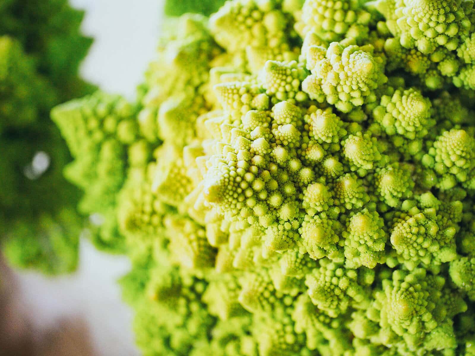 Fibonacci fractals found on a head of Romanesco cauliflower
