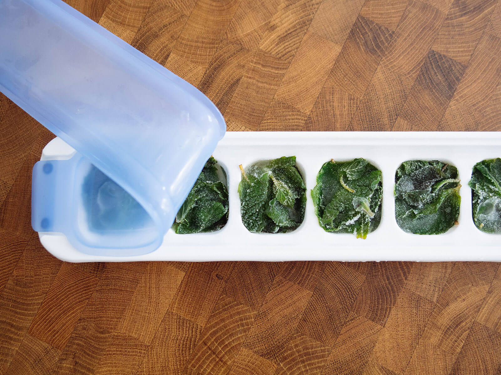 Frozen mint cubes in a white ice cube tray with a blue silicone cover