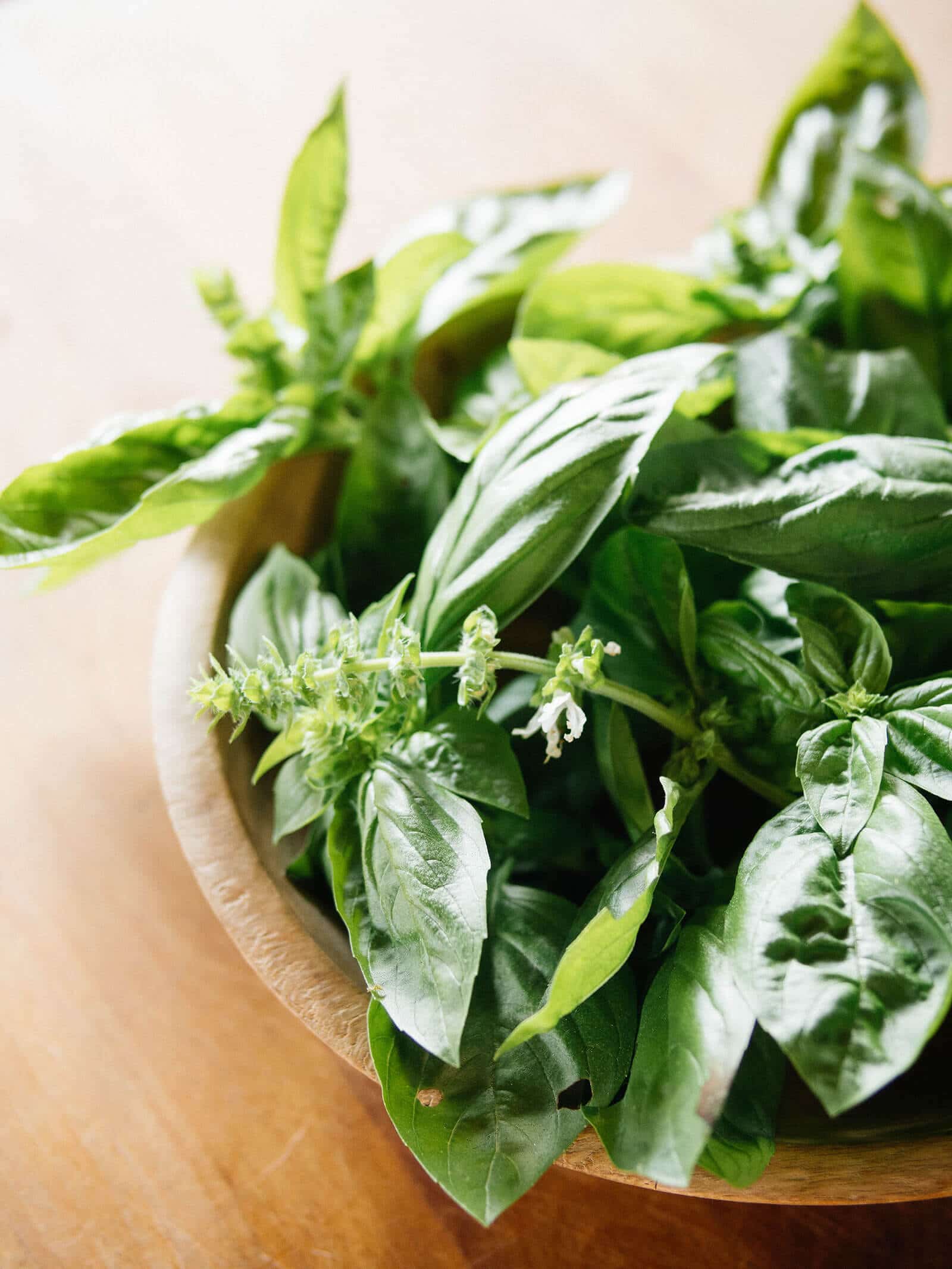 Homegrown basil ready for freezing