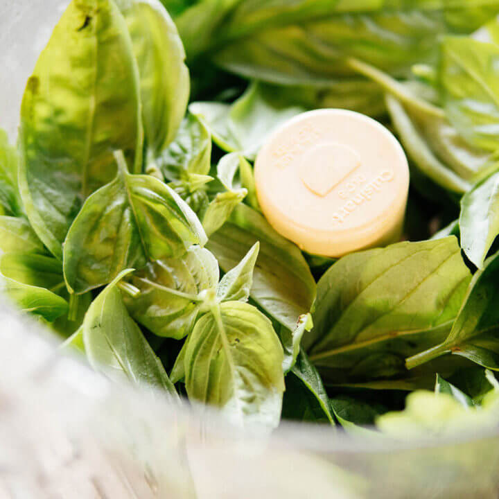 Basil leaves piled into the bowl of a food processor