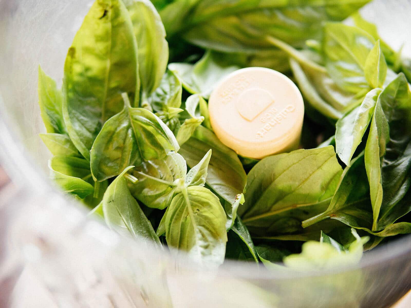 Basil leaves piled into the bowl of a food processor