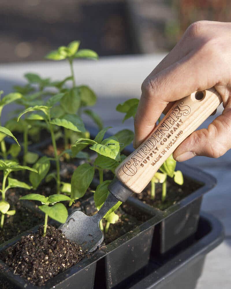 Mini trowel