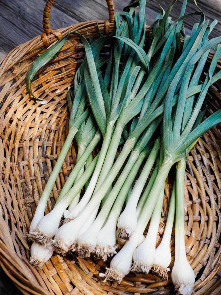 How to grow, harvest, and use green garlic in spring