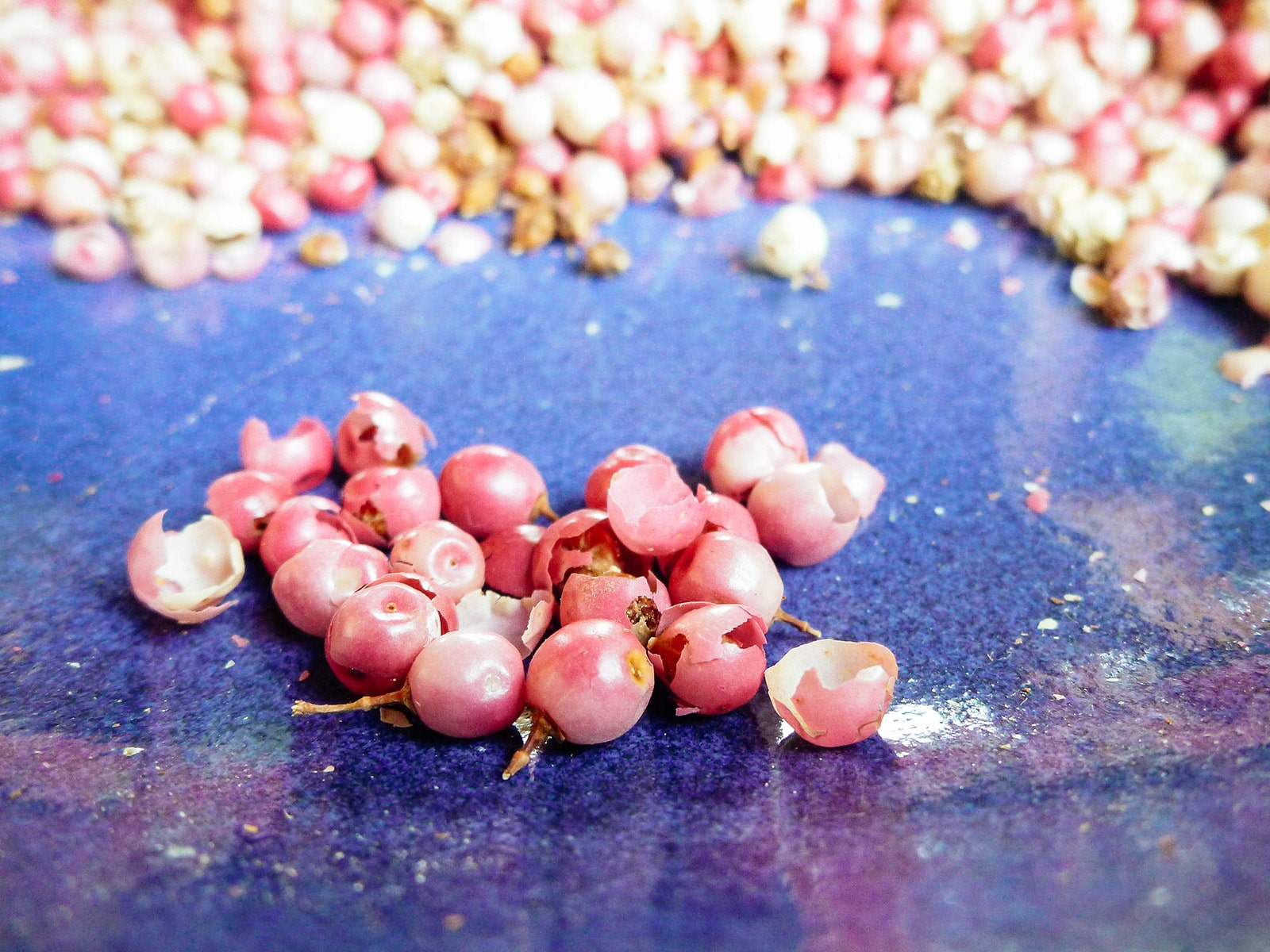 Peruvian pink peppercorns with smooth pink shells still intact