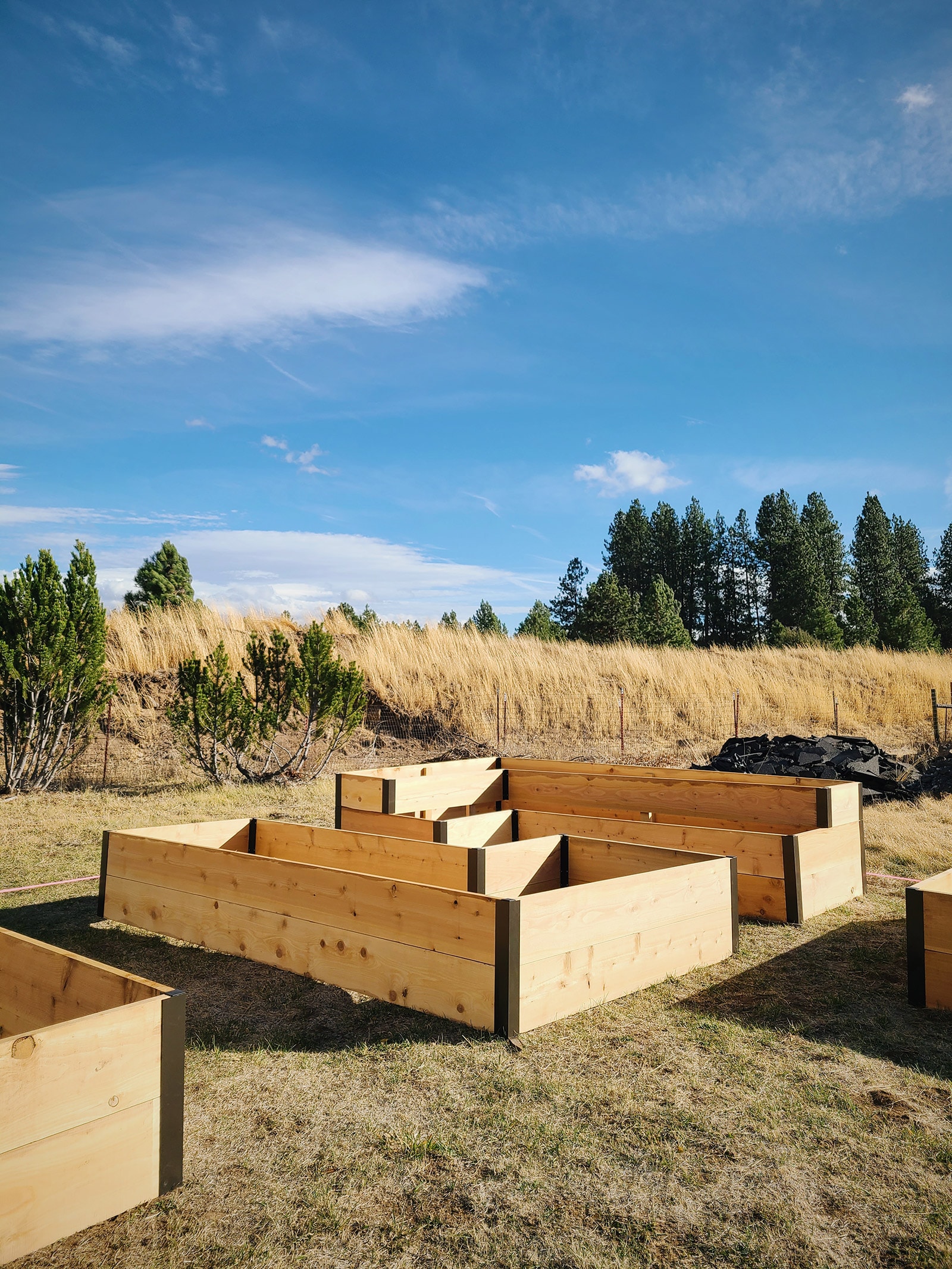 L-shaped tall raised beds in a garden