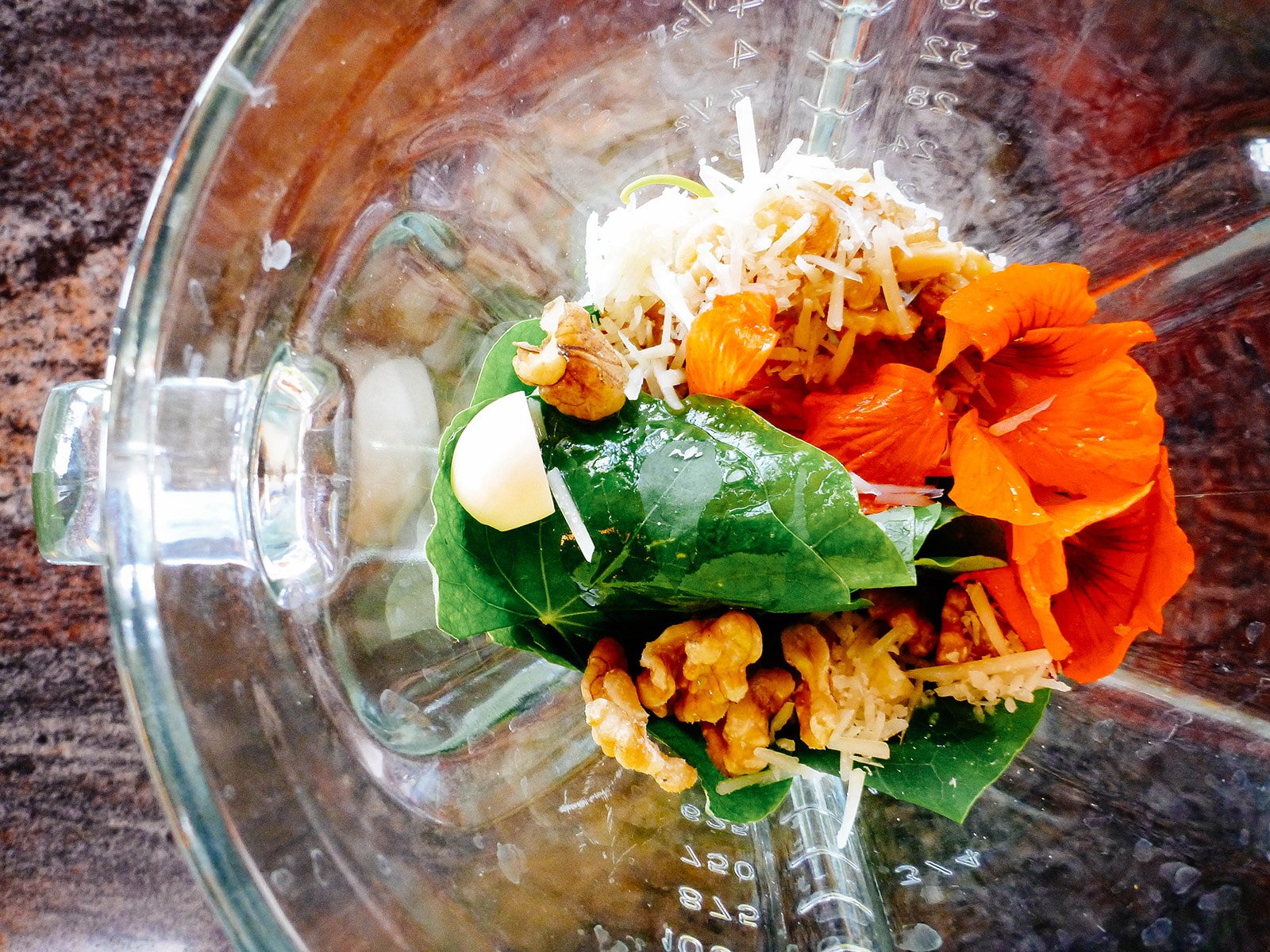 Nasturtium leaves, flowers, walnuts, garlic, and Parmesan cheese in a blender