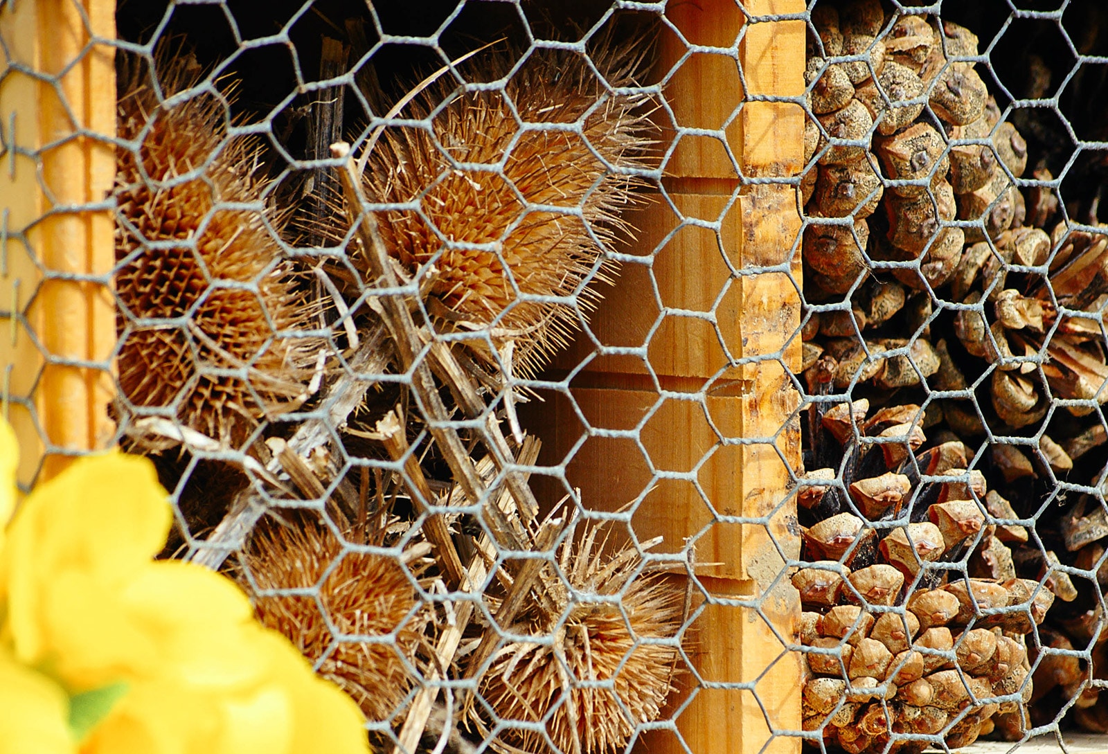 Close-up of DIY wooden ladybug house filled with dried thistle heads and pinecones