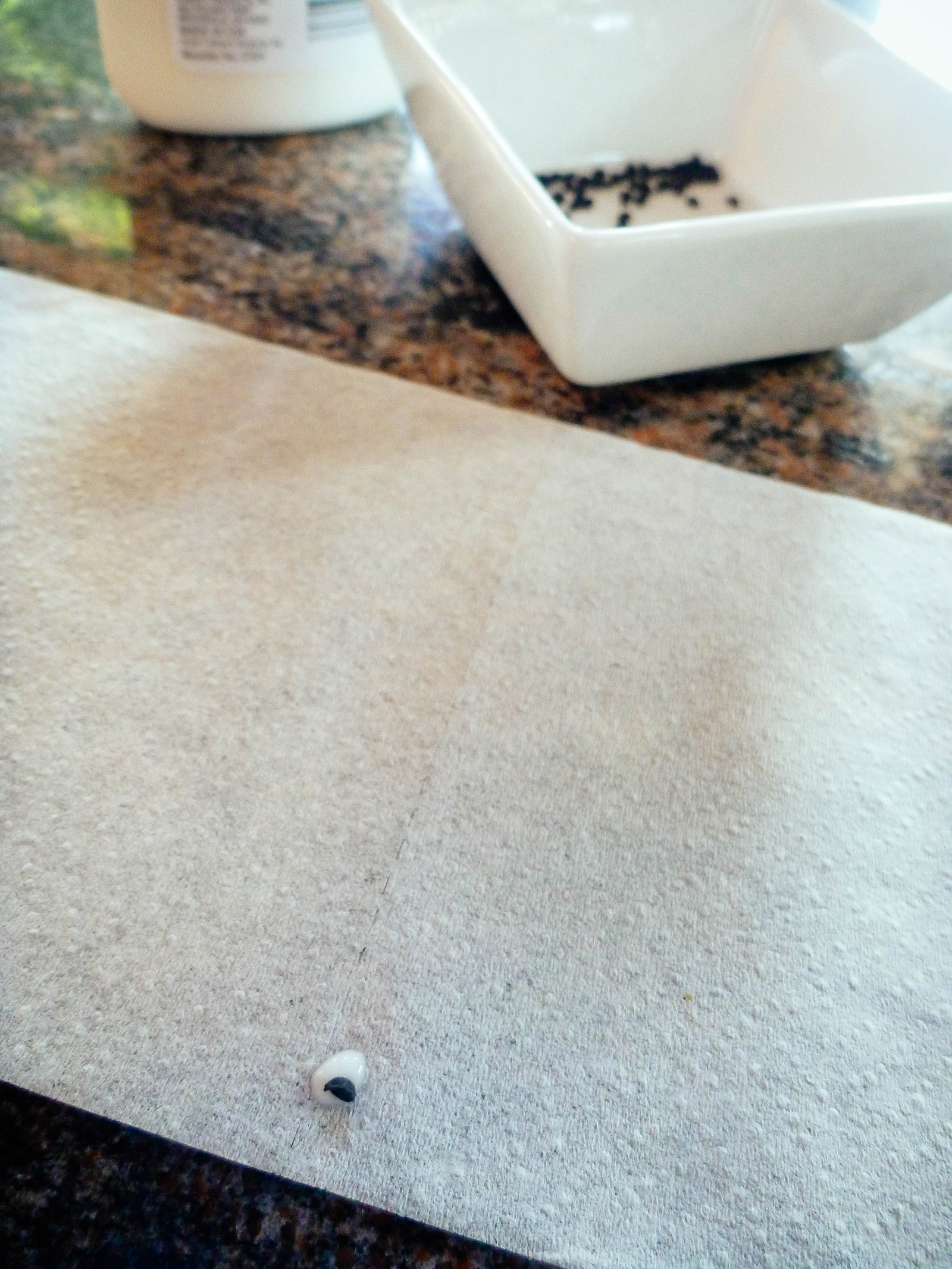 Drop of glue on toilet paper with an onion seed on it
