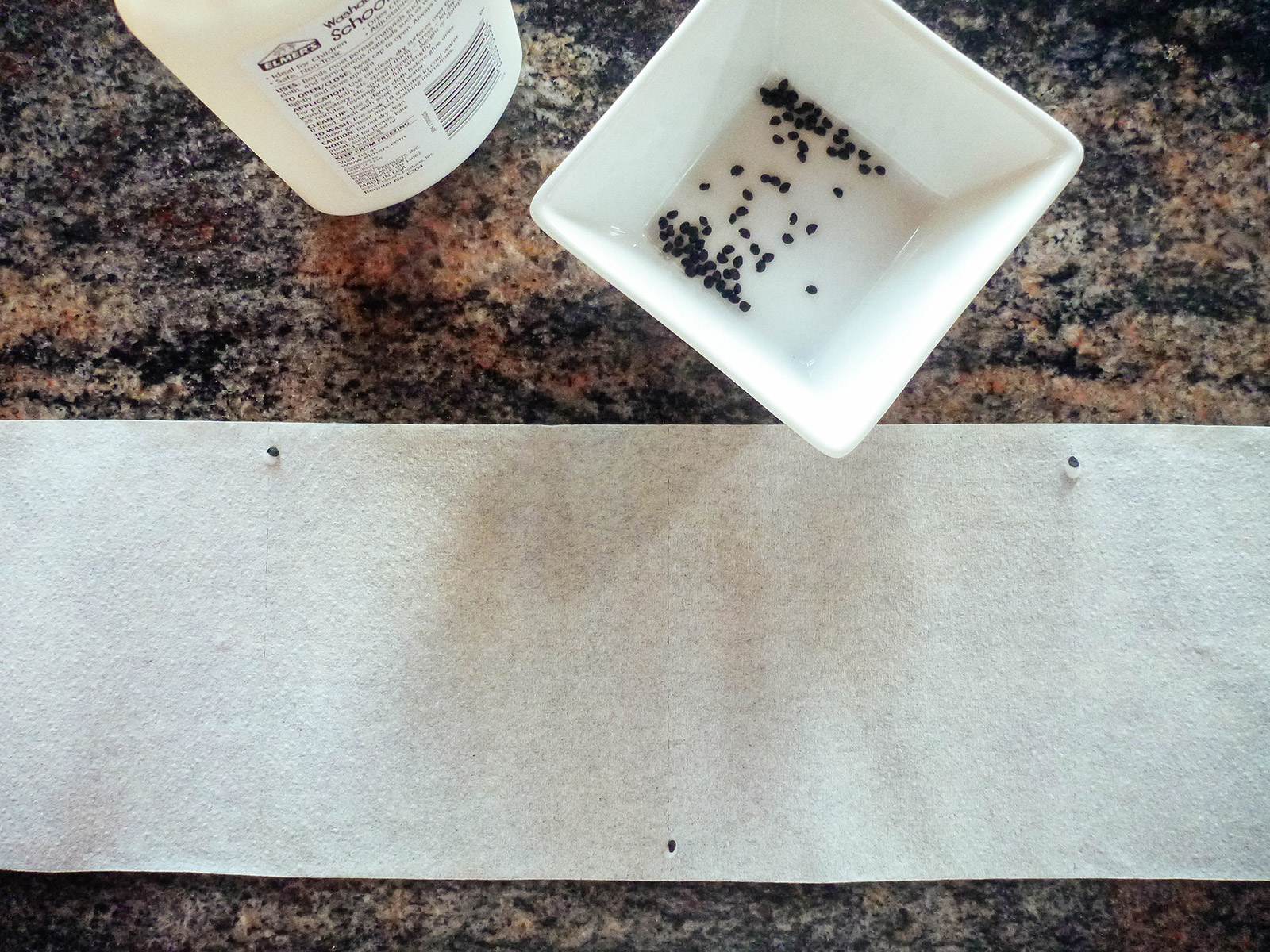 A length of seed tape with tiny seeds glued to it