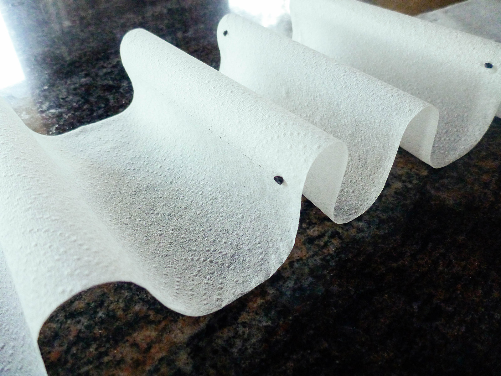 A strip of seed tape laid out on the counter to dry