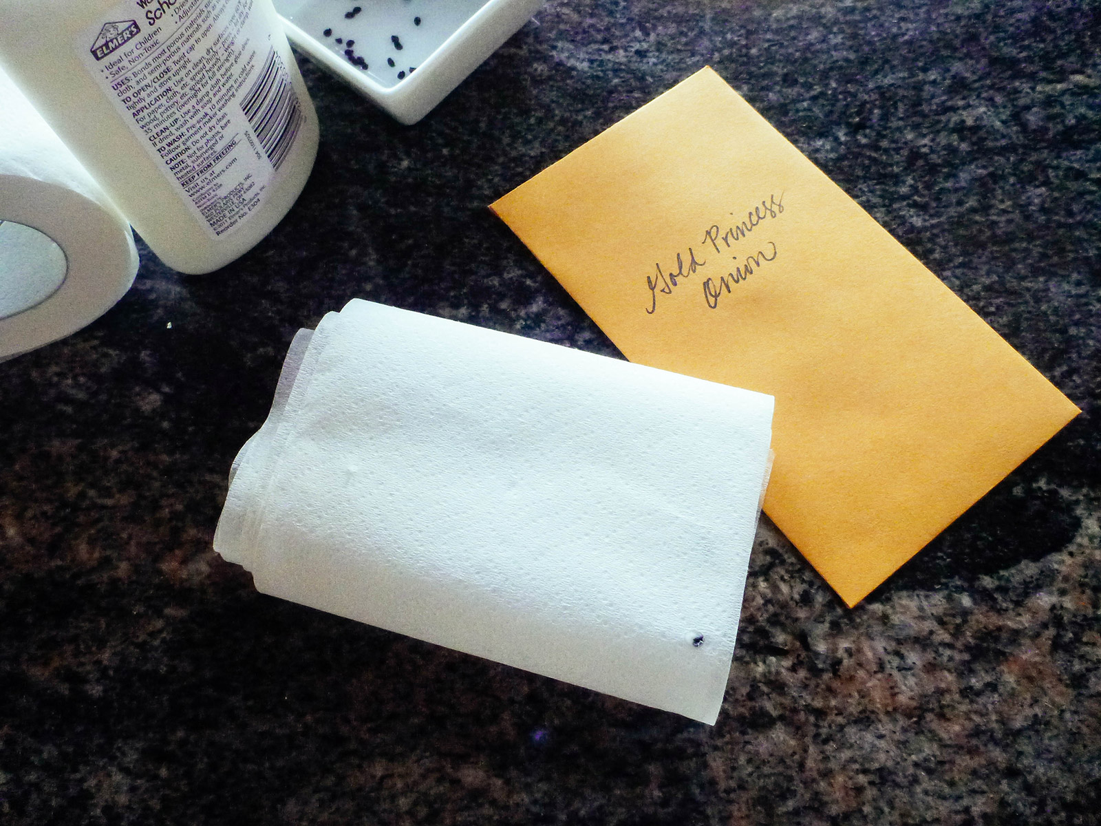 DIY seed tape rolled up next to a paper seed envelope