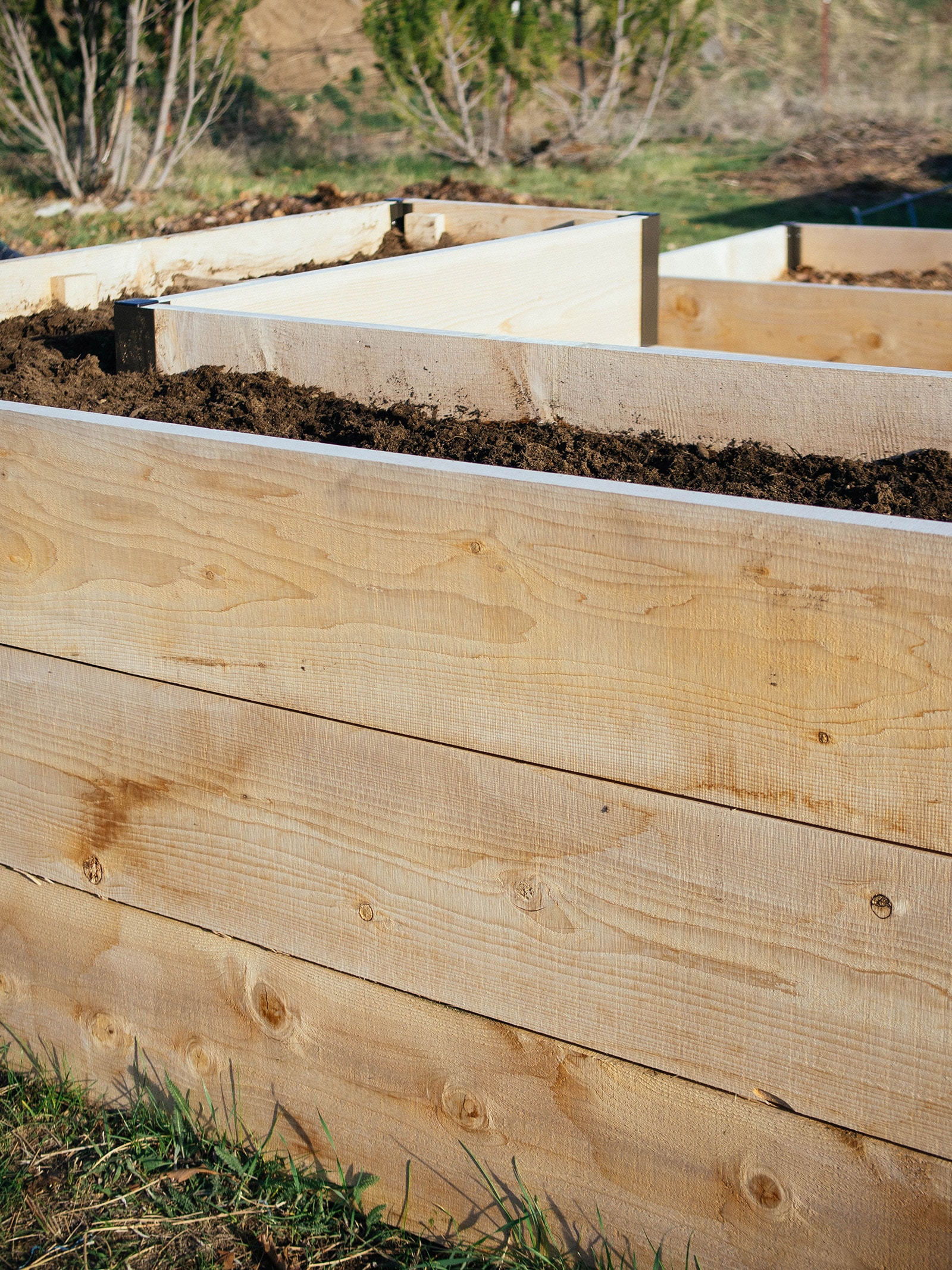 Side view of a 3-foot-tall cedar raised bed