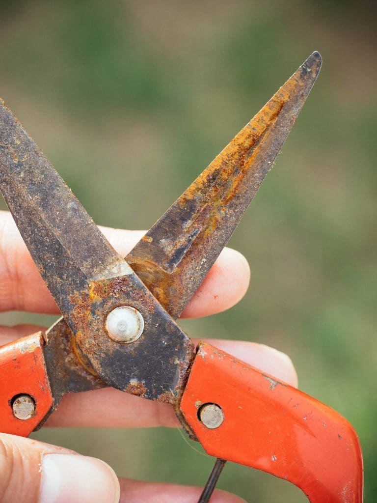 The best way to remove rust from tools—no scrubbing required