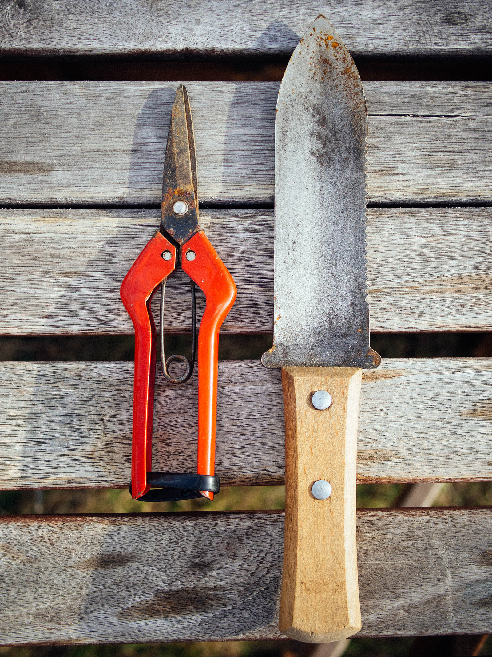Rusted needle-nose pruners and hori hori knife side by side