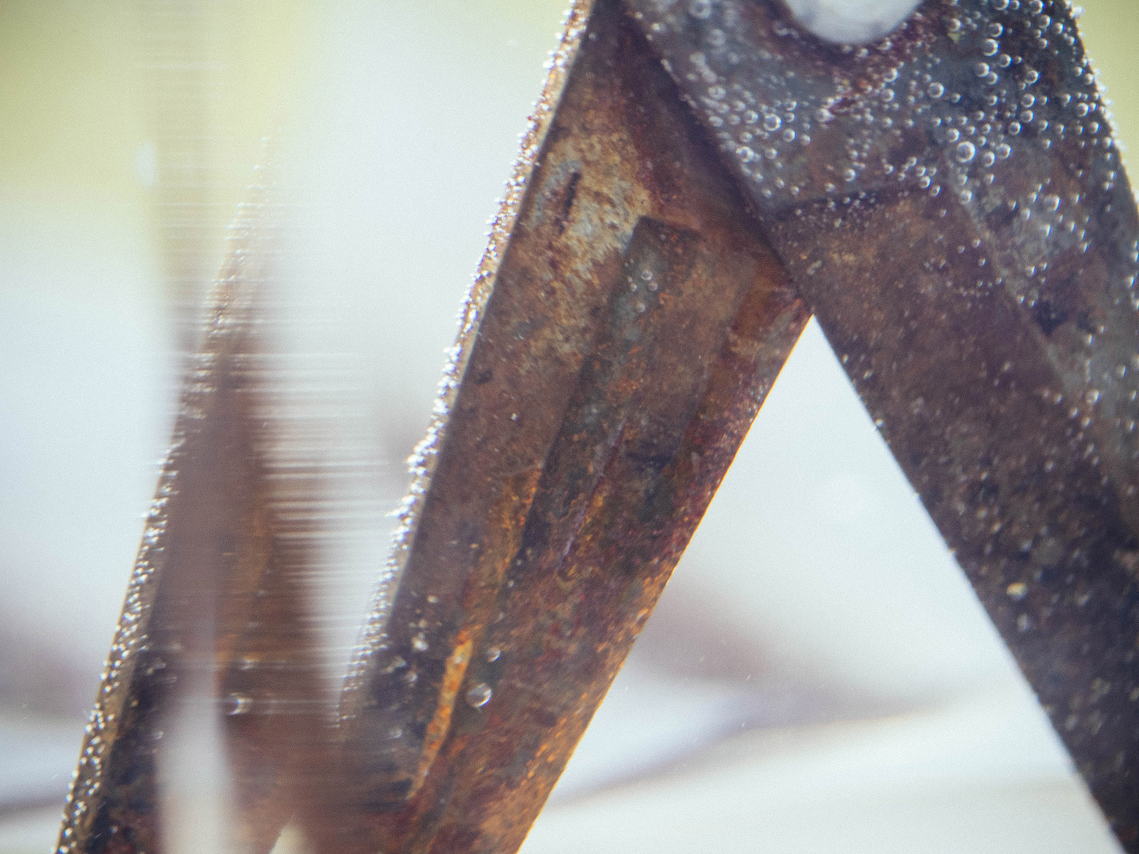 Close-up of rusted pruners soaking in vinegar