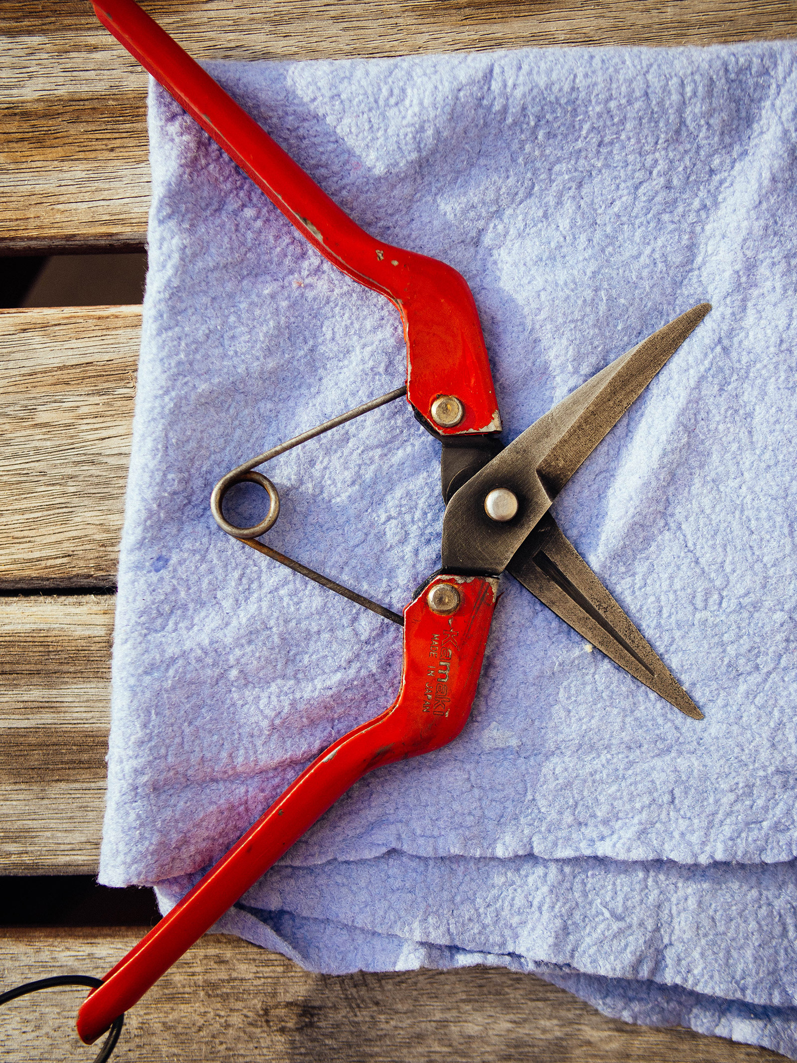 Clean and dried pruners that just had rust removed from the blades