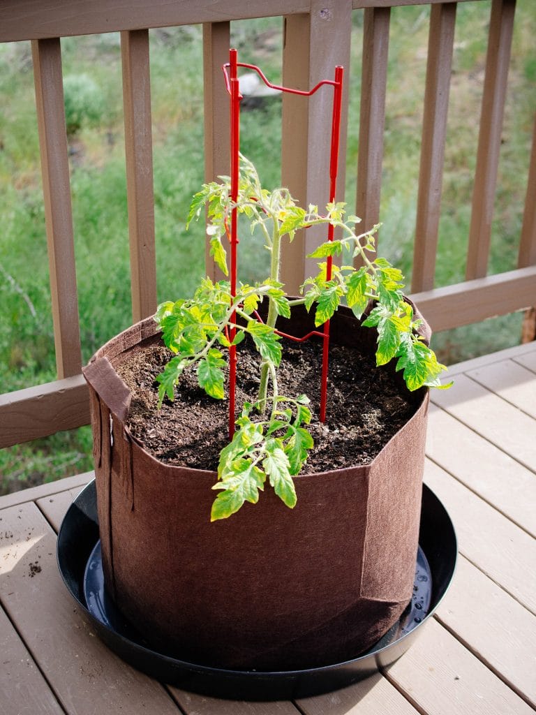 Best grow bags for your garden