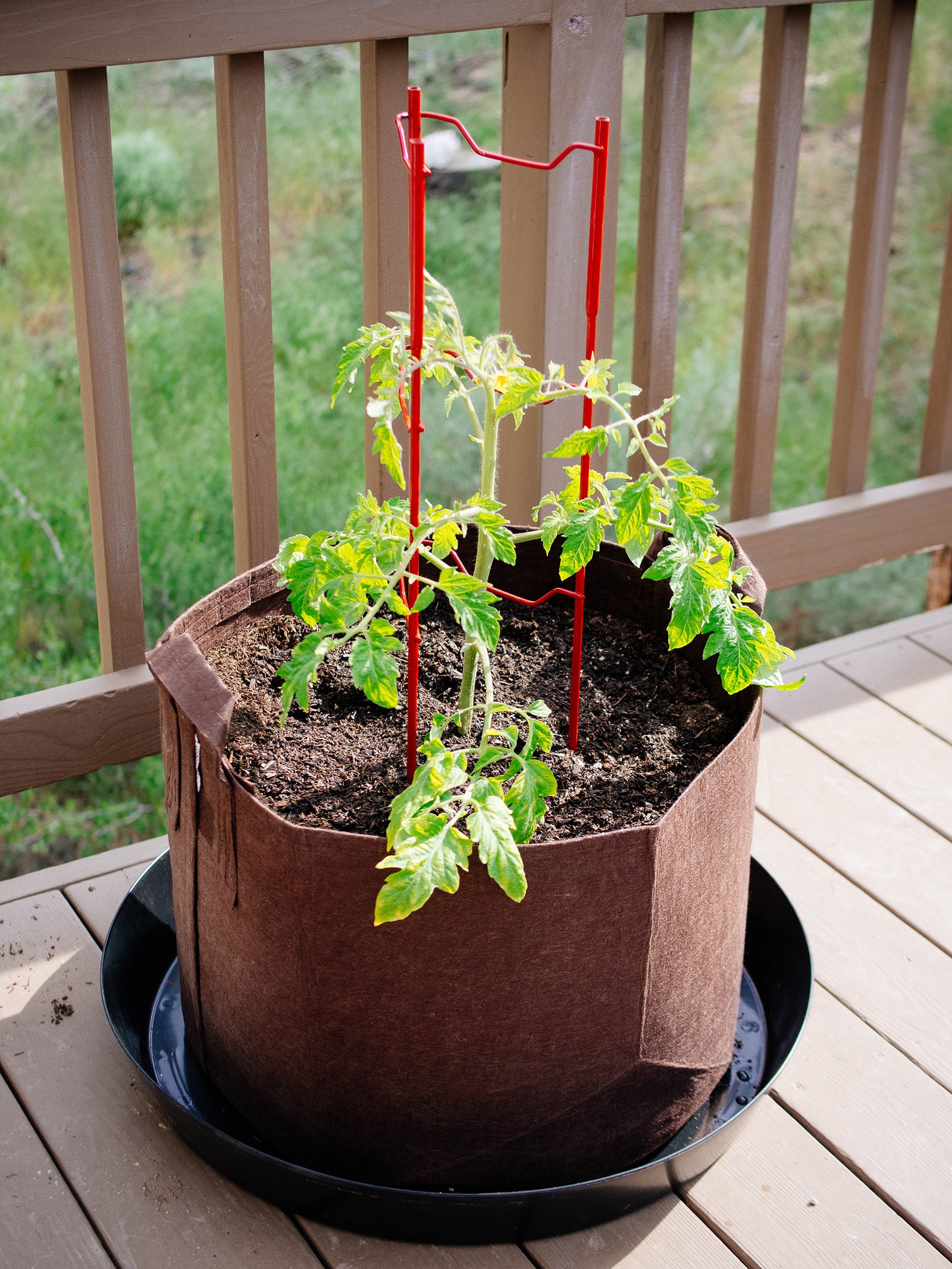 Best grow bags for your garden