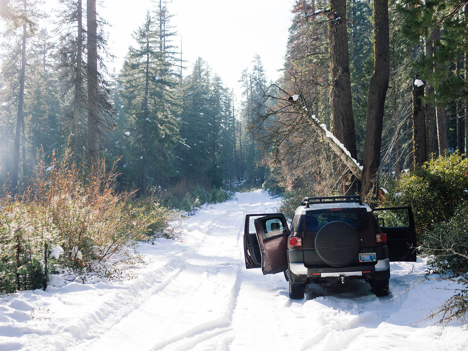 SUV parked off the side of a snowy road while searching for a U-cut Christmas tree
