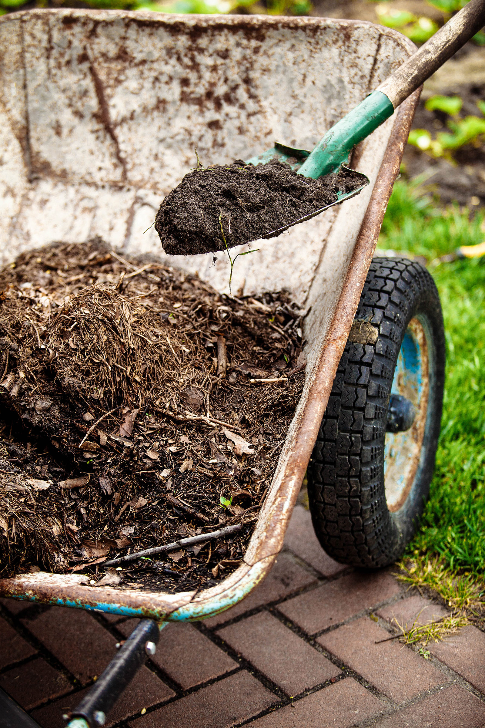 Wheelbarrow filled with compost, with a shovel scooping some compost out