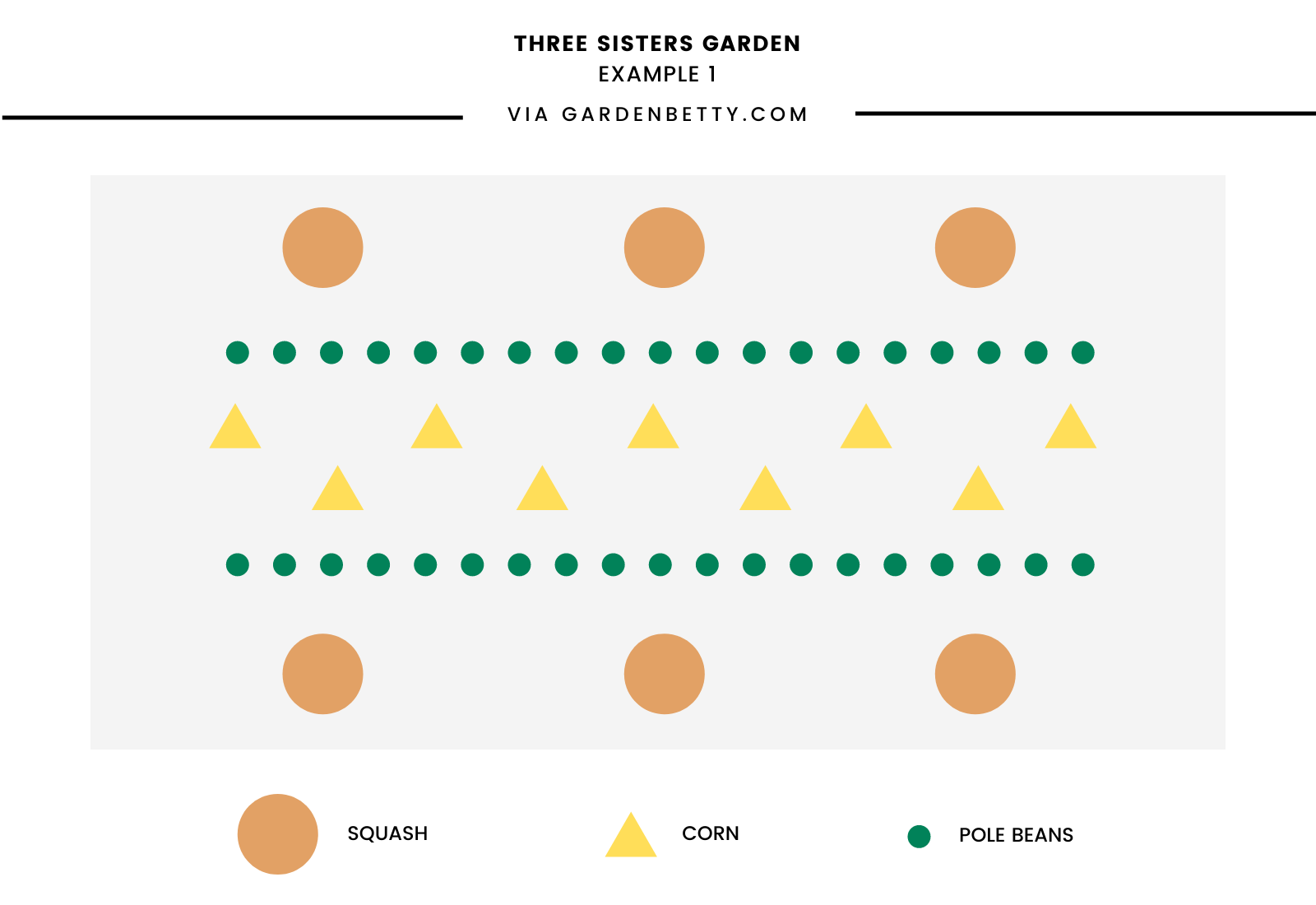 Sample garden layout for Three Sisters garden (example 1)