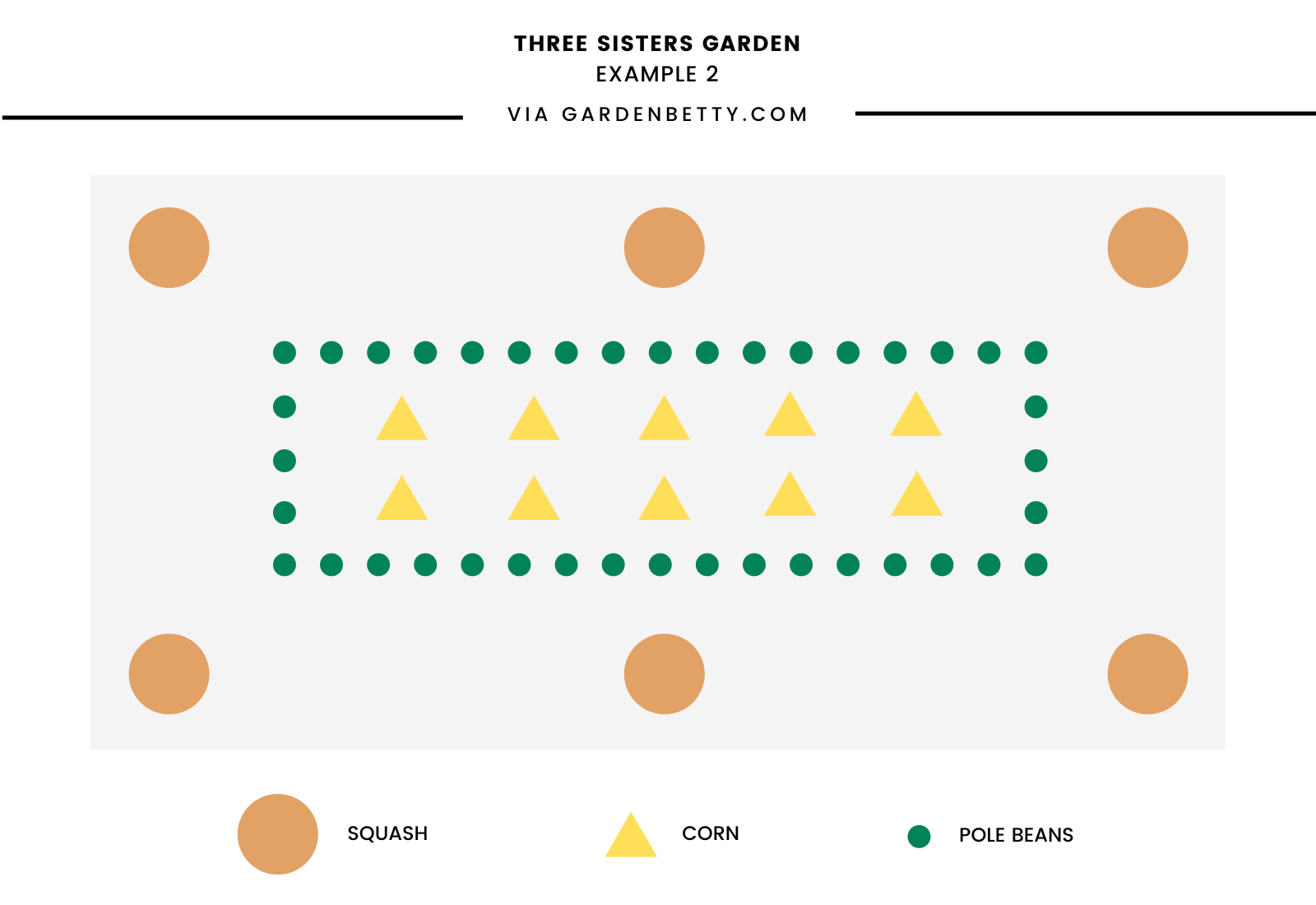 Sample garden layout for Three Sisters garden (example 2)