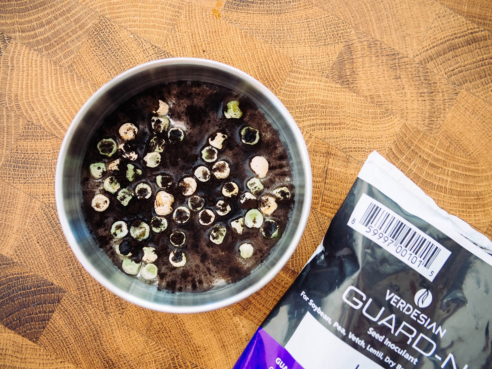 Small tin with pea seeds soaking in legume seed inoculant