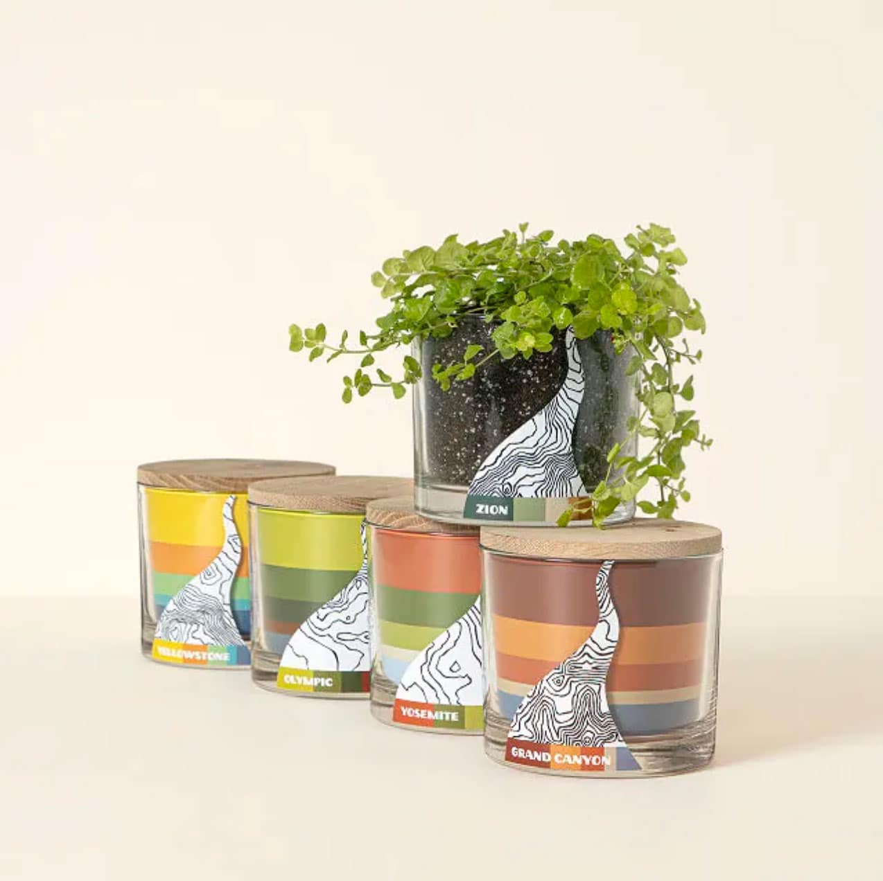 Botanical national park grow kits