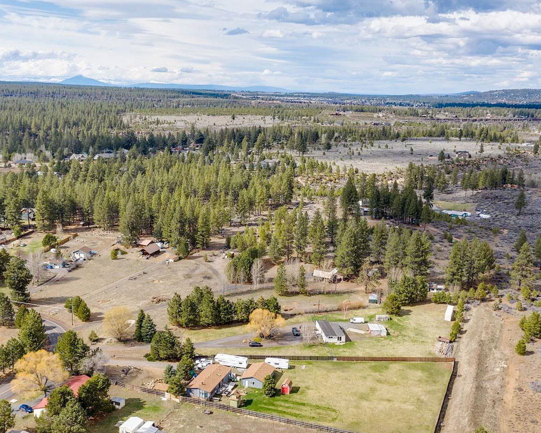 Aerial view of a neighborhood with pine trees