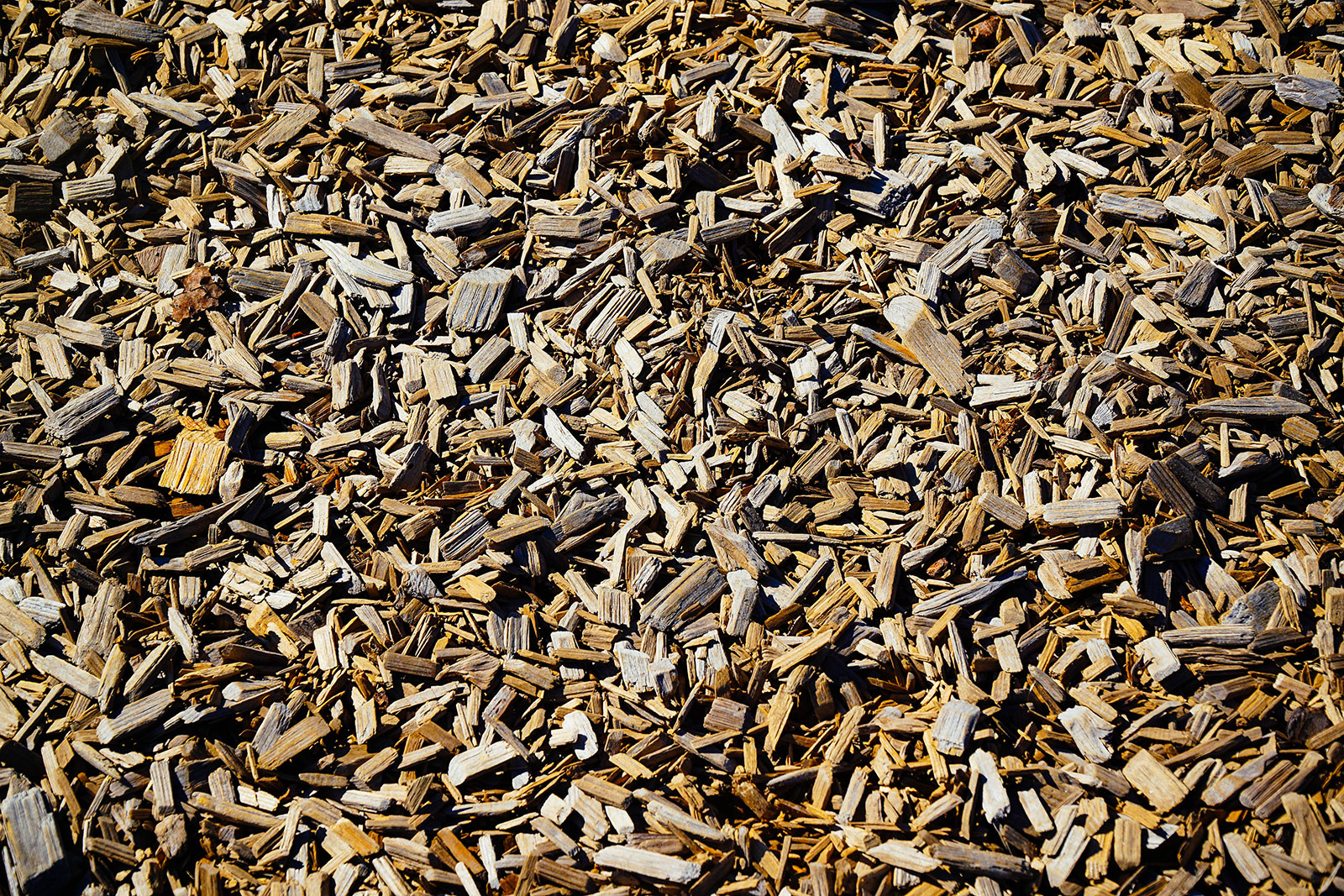 Close-up of arborist wood chips