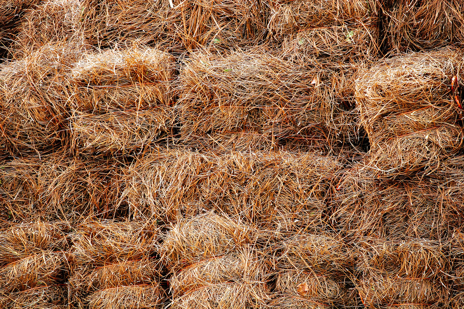 Bales of pine straw (pine needle mulch) stacked on top of each other