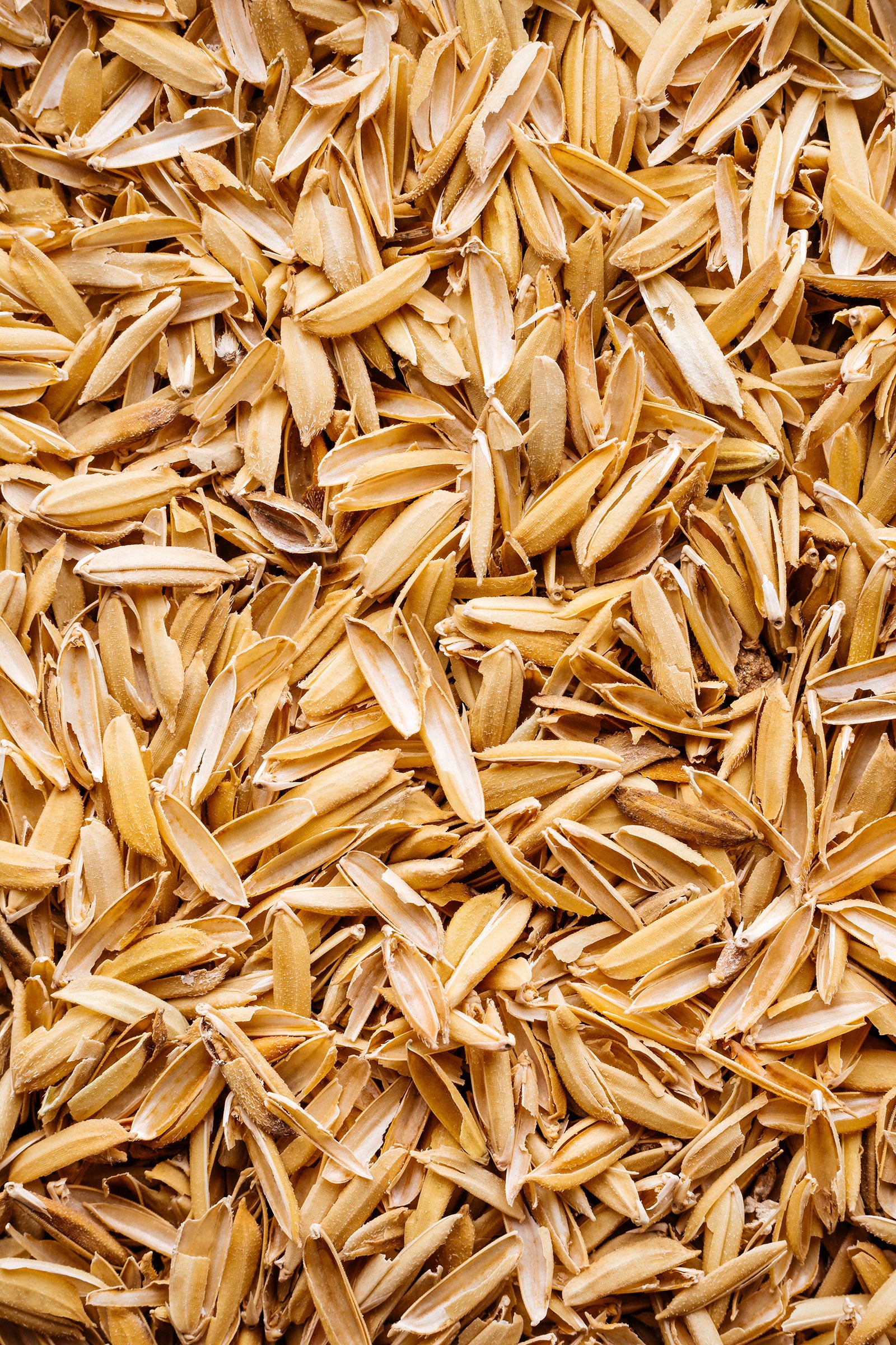 Close-up of rice hulls