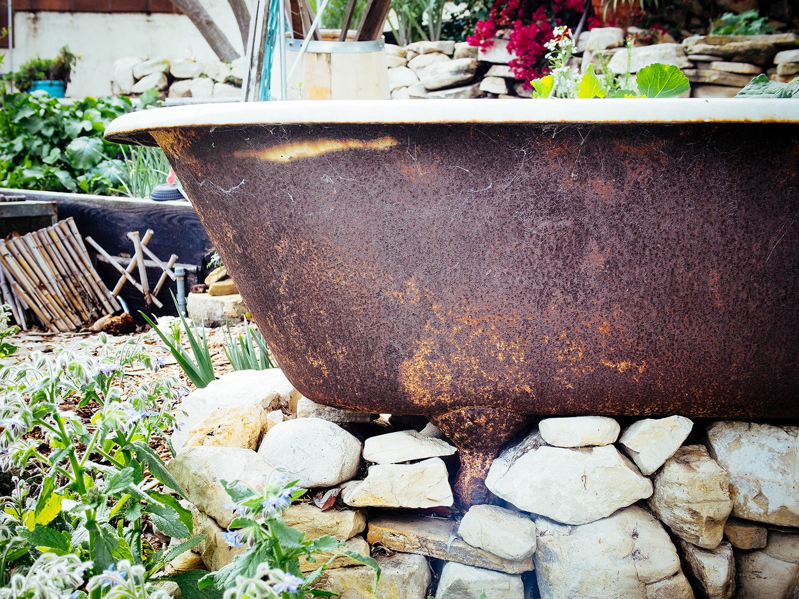 Close-up of rust on the side of a cast-iron clawfoot bathtub repurposed into a garden planter