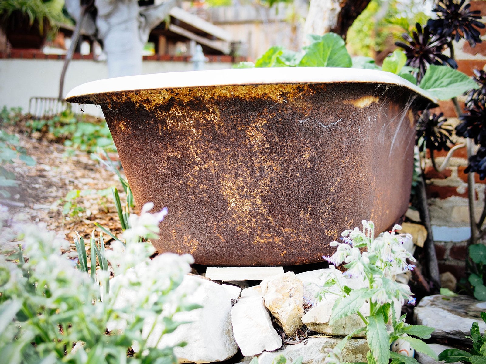Close-up of rusted patina on a vintage cast-iron bathtub planter in a garden
