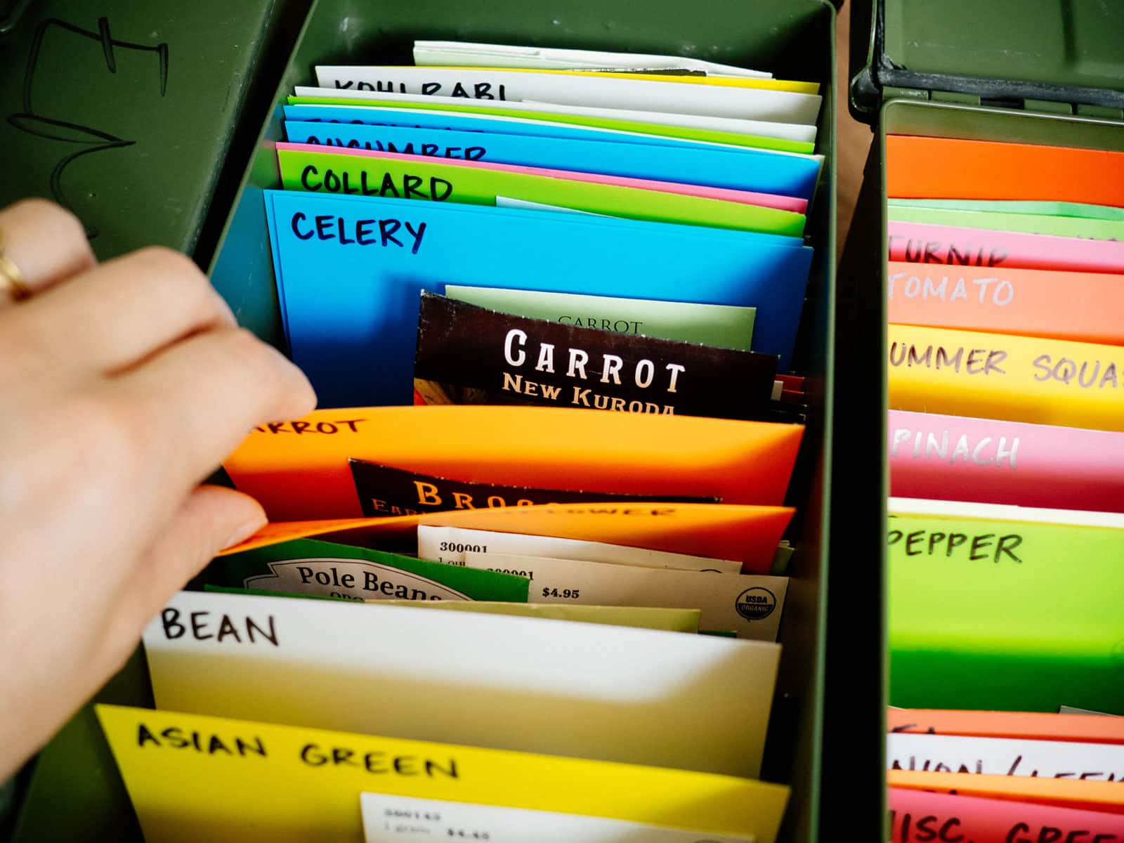 Woman's hand flipping through plastic card dividers separating seed packets in an ammo can